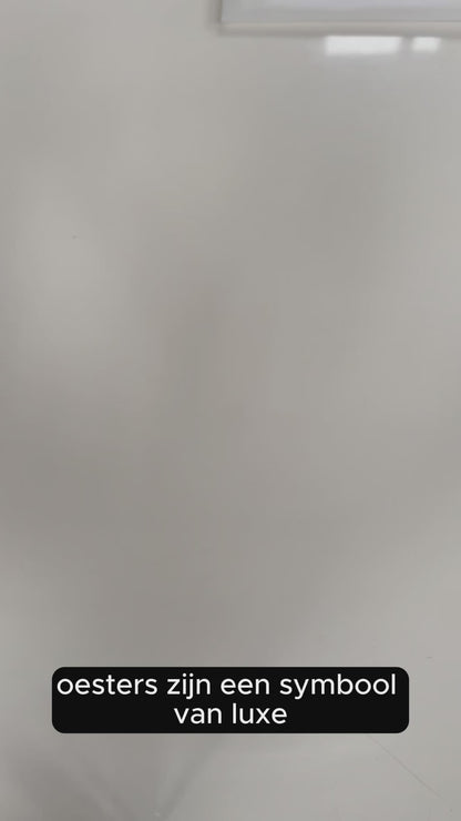 TEN® Oyster Set 4-piece - Oyster Knife with Stainless Steel Oyster Glove - Brown